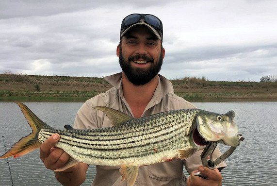Tiger fishing in komati river with ecolux boutique hotel